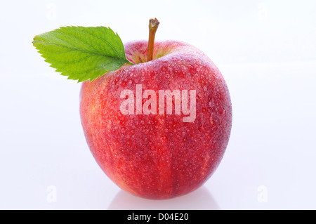 Nahaufnahme eines Gala Apfel mit Blatt am Stiel und Wasser Tropfen. Querformat auf einem weißen Hintergrund. Stockfoto