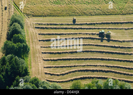 Luftaufnahme des Traktors in der Ernte, östlich von Moselle, Lothringen, Frankreich Stockfoto