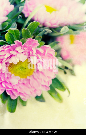 Blumen Stockfoto