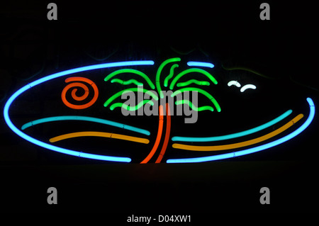 Tropical Beach Neon Sign Licht mit Palme Stockfoto