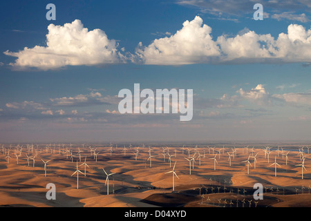Luftaufnahme von Windkraftanlagen in Montezuma Hills des Sacramento River Delta, Nord-Kalifornien. Stockfoto