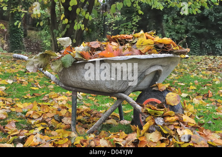 alten Schubkarren voller Laub Stockfoto