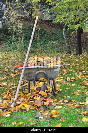 Alten Schubkarren voller Laub in einem Garten Stockfoto