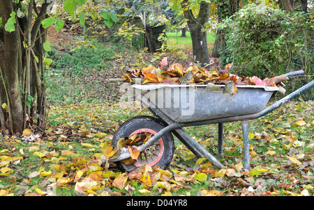 Alten Schubkarren voller Laub in einem Garten Stockfoto