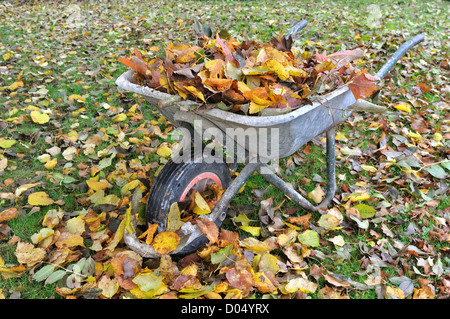 Alten Schubkarren voller Laub in einem Garten Stockfoto