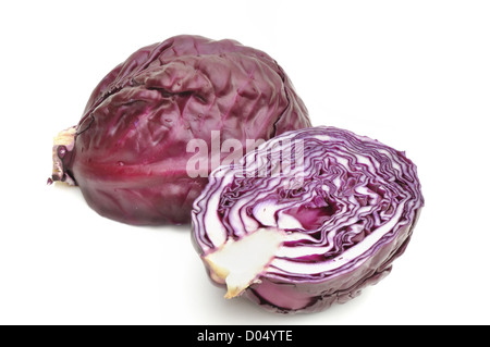 Rotkohl halbieren isoliert auf weißem Hintergrund Stockfoto