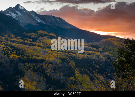 Aspen Wälder im Herbst, Blick über das Tal der South Fork San Miguel Wilson zum Gipfel, San-Juan-Gebirge Stockfoto