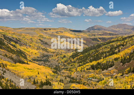 Aspen Wälder im Herbst, Blick über das Tal der South Fork San Miguel, San Juan Mountains, Colorado, USA Stockfoto