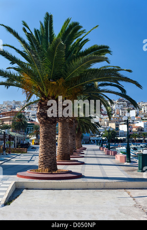 Strandpromenade mit Palmen in der Stadt Sitia auf Kreta Stockfoto