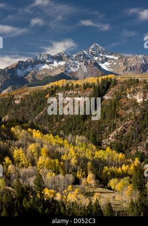 Aspen Wälder im Herbst, Blick über das Tal des South Fork San Miguel, bis auf Wilson Peak und Mount Wilson, San Juan Mts Stockfoto