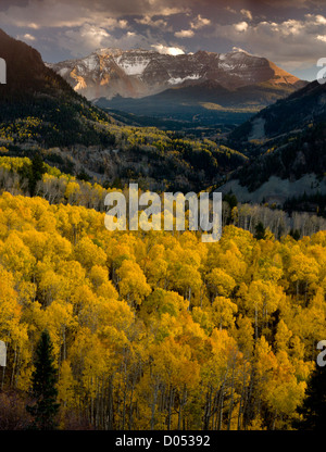 Aspen Wälder im Herbst, Blick auf Sheep Mountain und San Miguel Peak, San Juan Mountains, Colorado, USA Stockfoto