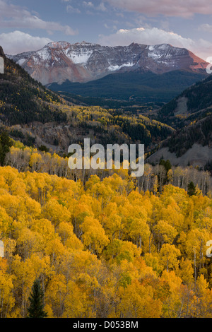 Aspen Wälder im Herbst, Blick auf Sheep Mountain und San Miguel Peak, San Juan Mountains, Colorado, USA Stockfoto