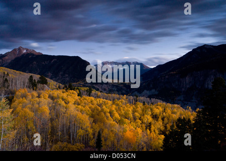 Aspen Wälder im Herbst, Blick auf Sheep Mountain und San Miguel Peak, San Juan Mountains, Colorado, USA Stockfoto