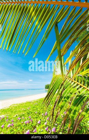 Tropischer Strand im sonnigen Tag. Vertikale erschossen. Stockfoto