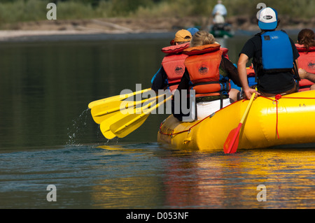 Familien und Kinder-rafting auf den Middle Fork des Flathead River, Montana Stockfoto