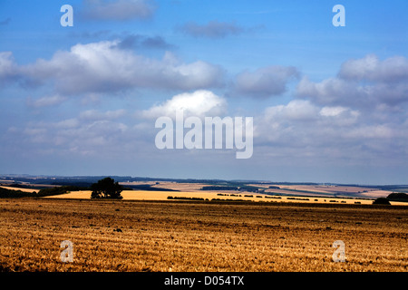 Ein Blick über die Felder Weizen und Stoppeln in die Yorkshire Wolds in der Nähe von Huggate East Yorkshire England Stockfoto