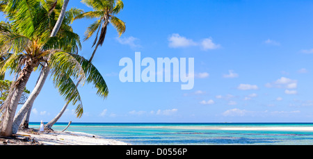 Insel in Französisch-Polynesien Stockfoto