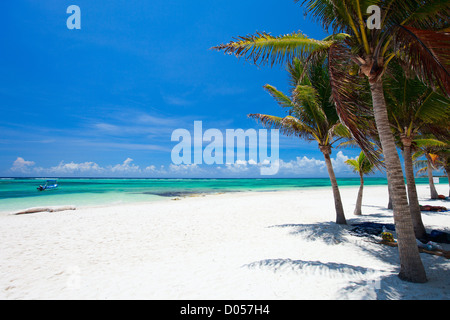 Schöner Strand in Mexiko Stockfoto