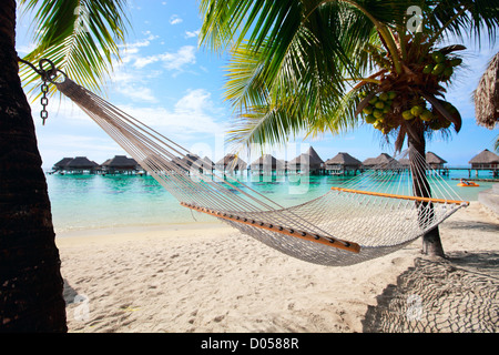 Traumstrand auf Moorea Stockfoto