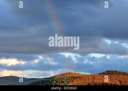 Aberystwyth, Wales. 17. November 2012. Nach einem Nachmittag Schauer erscheint ein Regenbogen über dem Wald am Rande der Cambrian Mountains, Aberystwyth, Ceredigion, Wales, UK 17. November 2012. Bildnachweis: John Gilbey / Alamy Live News Stockfoto