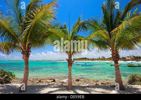 Akumal Strand in Mexiko Stockfoto