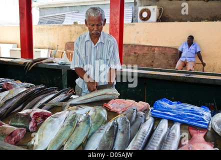 Mann Reinigung und Ausnehmen Fische im Sir Selwyn Clark Fischmarkt, Victoria, Mahe, Seychellen Stockfoto