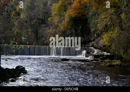 Der Wasserfall auf der Fluss-Mandel an Cramond, Edinburgh, Schottland. Stockfoto