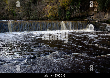 Der Wasserfall auf der Fluss-Mandel an Cramond, Edinburgh, Schottland. Stockfoto