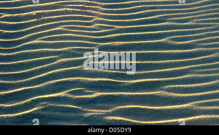 Eine Muster in den Sand am Strand von Florida ist mit hohem Kontrast durch den Winkel der das Licht der Sonne bei Sonnenuntergang gerendert. Stockfoto