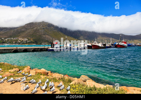 Cape Town, Südafrika. Angelboote/Fischerboote vor Anker im Hafen von Hout Bay in der Nähe von Cape Town, South Africa Stockfoto