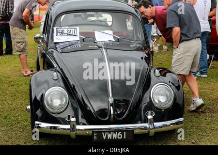 Frühen 60er Jahre VW auf dem Display, bekannt als der Käfer Oldtimer eine breite Anhängerschaft an der Gold Coast Car Show hat Stockfoto