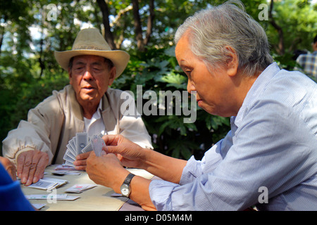 Shanghai China, chinesisches Huangpu Viertel, Nanjing Straße, Volkspark, asiatischer Mann Männer Erwachsene Erwachsene, Karten spielen, spielen, Glücksspiel, Kartenspiel, Blick auf Stockfoto