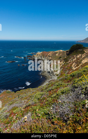 Kalifornien 2012 - das Cabrillo Highway Route 1 Pacific Ocean Drive. Big Sur-Nationalpark-Gebiet. Typische Küstenblick. Stockfoto