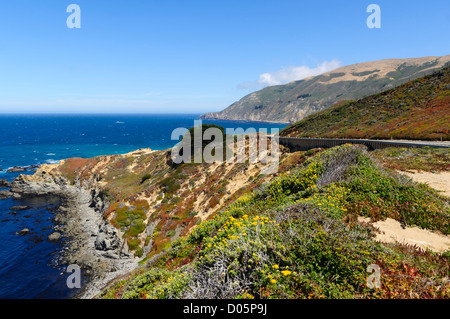 Kalifornien 2012 - das Cabrillo Highway Route 1 Pacific Ocean Drive. Big Sur-Nationalpark-Gebiet. Typische Küstenblick. Stockfoto