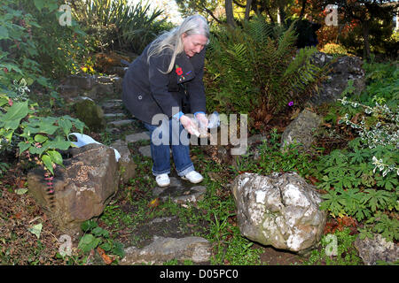 Die Taube Gedenken Denkmal am Haus Strandpark, Worthing, West Sussex. Die Taube-Memorial ist ein kurze Service Krieger Vögel zu gedenken, die während der ersten und zweiten Weltkriege diente. 18.11.12 Stockfoto