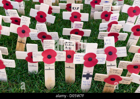 Mohn, kleine Holzkreuze erinnern in Konflikten und Kriegen gefallenen Soldaten befestigt Stockfoto