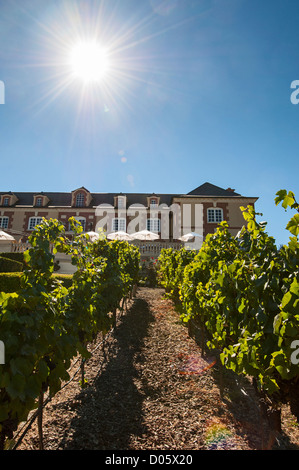 Schöne Aussicht auf die Domaine Carneros Kellerei und Weingut in Napa Valley. Stockfoto