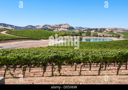 Schöne Aussicht auf Cuvaison Winery und Weingut in Napa Valley. Stockfoto