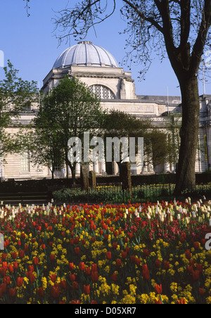 National Museum & von Wales Civic Centre Galerieansicht von Gorsedd Gärten Tulpen im Frühling NMGW Cardiff South Wales UK Stockfoto