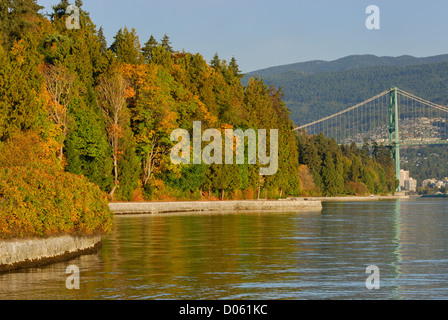 Herbstfarben der Laubbäume säumen die Ufermauer auf der Nordseite der Stanley Park, die Lions Gate Bridge im Hintergrund, Vancouver BC Stockfoto