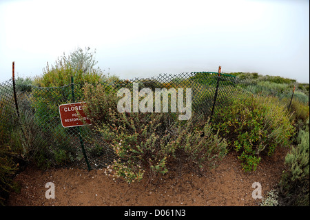 Elfin Waldfläche in Morro Bay eingezäunt Stockfoto