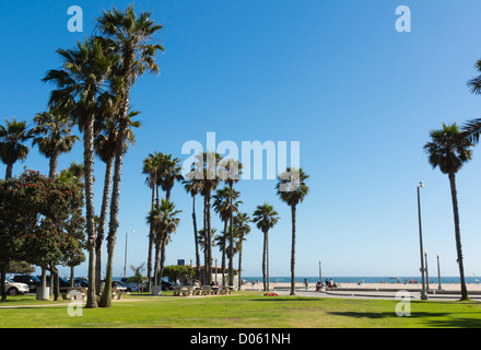 Santa Monica, Los Angeles Oceanside Resort - Shore Park mit Palmen. Stockfoto