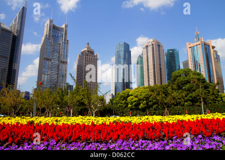 Shanghai China, chinesisches Finanzviertel Pudong Lujiazui, Century Avenue, zentraler Grünraum, Grönland, Blume, Bocom Financial Towers, Bank of Shanghai Stockfoto