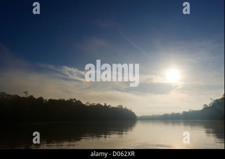 Nebligen Sonnenaufgang am Kinabatangan Fluss, Sabah, Borneo Stockfoto