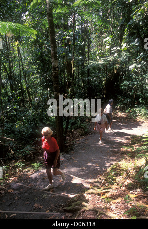 Touristen zu Fuß entlang dem Wanderweg, Touristen, Elder reisen, Morne Trois Pitons Nationalpark Morne Trois Pitons, Nationalpark, Dominica, Karibik Stockfoto