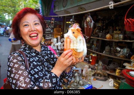 Shanghai China, Oriental, Huangpu District, Dongtai Road, Shopping Shopper Shopper shoppen Geschäfte Markt kaufen verkaufen, Geschäft Geschäfte Business-Unternehmen, Anti Stockfoto