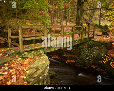 Herbst im Peak District mit Spaziergang Brücke über den Fluss Dane, Nationalpark, Cheshire UK Stockfoto