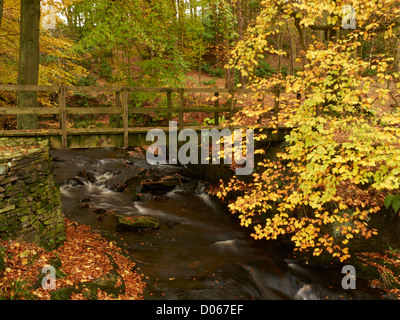 Herbst im Peak District mit Spaziergang Brücke über den Fluss Dane, Nationalpark, Cheshire UK Stockfoto