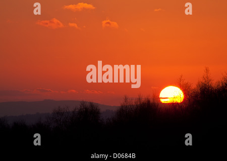 Winter-Sonnenuntergang über Ashdown Forest Stockfoto