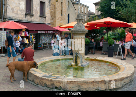 Ein Boxer Hund trinken an einem Brunnen in der Altstadt von Bergerac, Frankreich Stockfoto